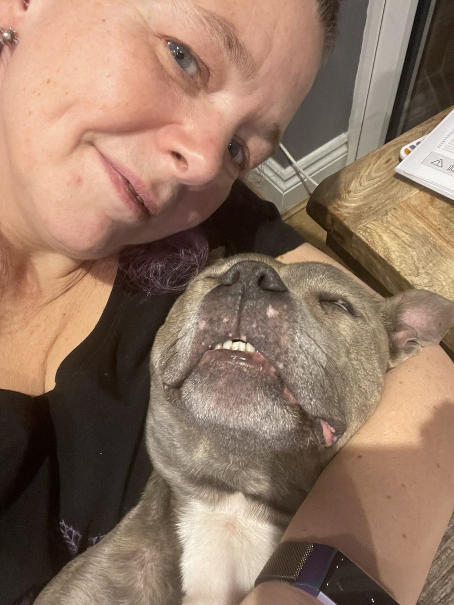 Saturday night snuggles with Mum! Finally feeling better, but still need mum cuddles!! #staffy #bluestaffy #staffordshirebullterrier #dontbullymybreed #staffyawareness #staffiesofinstagram #staffylove #comfortable #dogsofinstagram #comfydog #saturday #saturdaysnuggles #cuddles