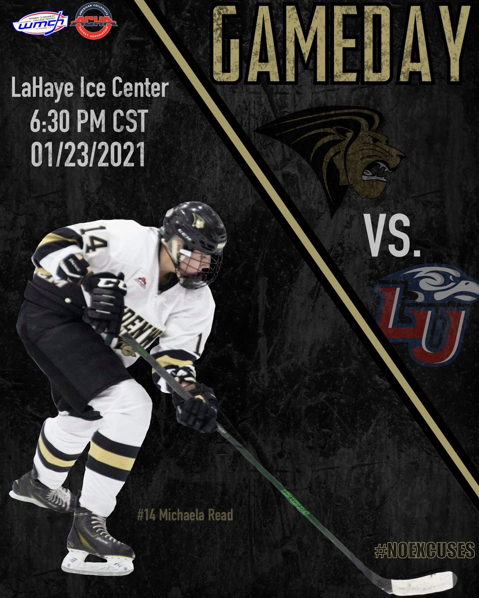 luwhky_acha's tweet photo. Your Lions take on Liberty University today at 6pm CST in the first of a two game series. https://t.co/udSXauOYoH