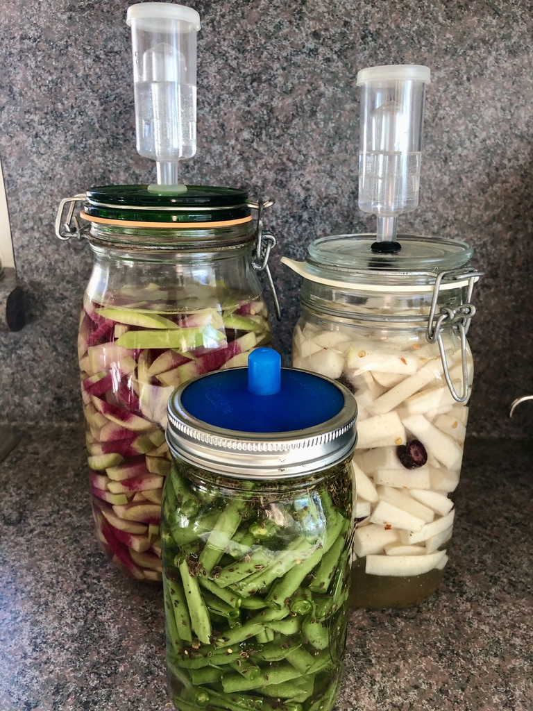 TexanInOz's tweet photo. #FermentationFriday - who else enjoys making homemade fermented pickles? This week was Watermelon Radish, Daikon Radish & Dilly Beans.
#lactofermentation #cooking https://t.co/VRjppgl3jp