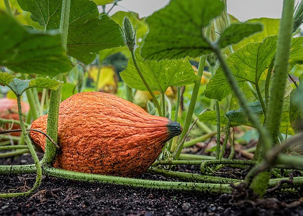 WesIversen's tweet photo. New artwork for sale! - "Almost Ready" - https://t.co/j04jSVovNV @fineartamerica https://t.co/O9KGAb19XB