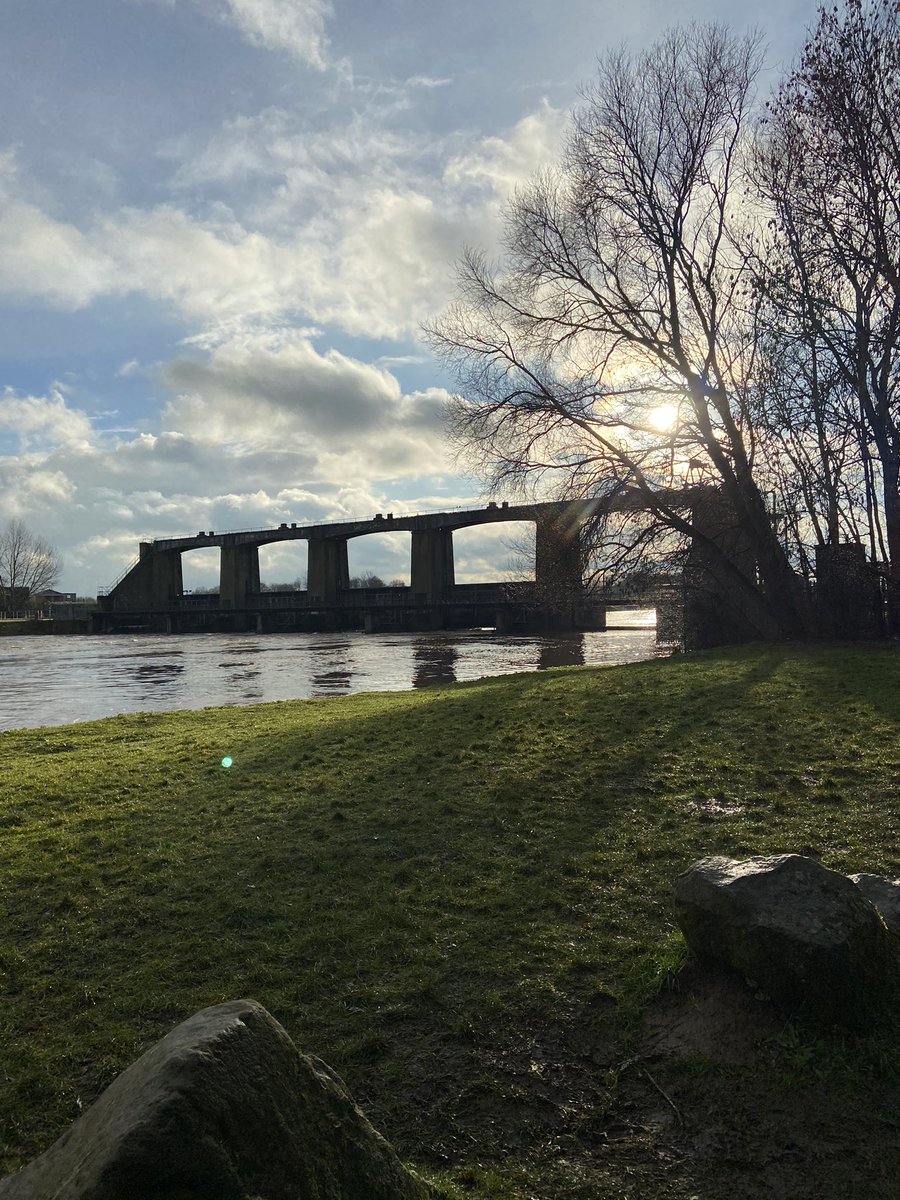 deborah_stlouis's tweet image. I feel so much better after doing 10395 steps and having a lovely walk in #colwickpark #nottingham #Nottinghamshire #walk #walking #exercise #nature #water #lakes #swans #birds