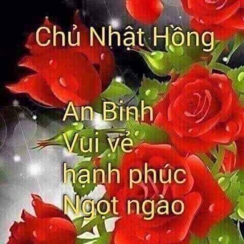 nhật nguyệt thần giáo on Twitter: Nhật Nguyệt Thần Giáo On Twitter: