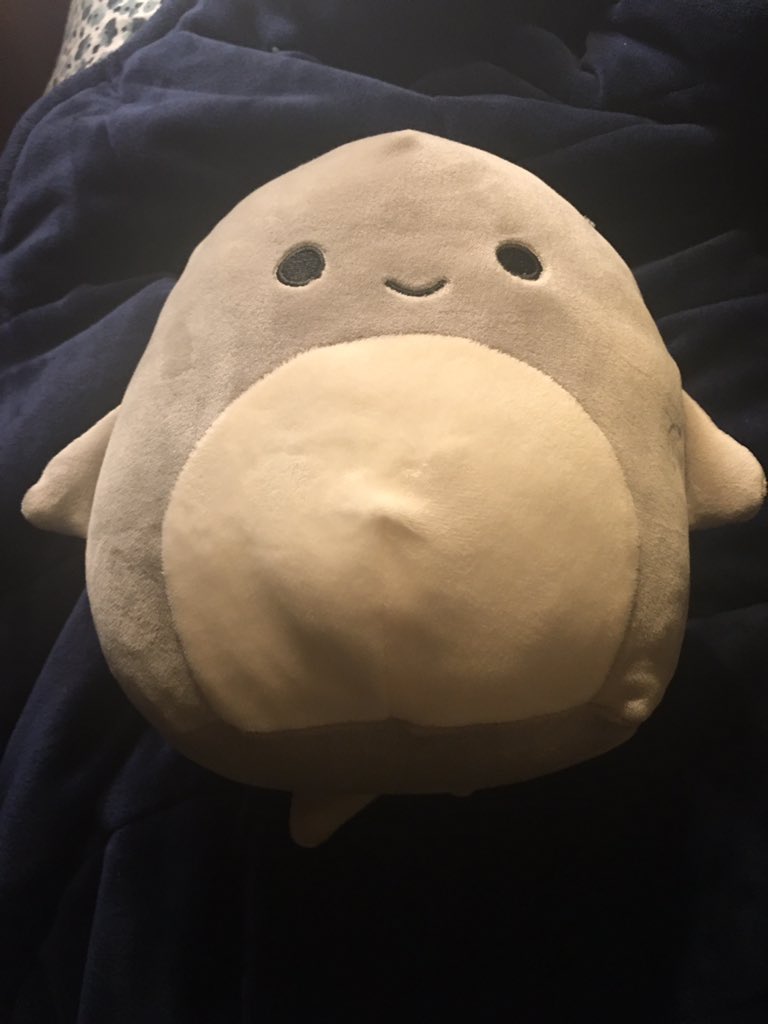 this is my shark squishmallow called oscar we are besties except i don’t really like how his belly button protrudes it makes me nervous. i love the fins and happy face though
