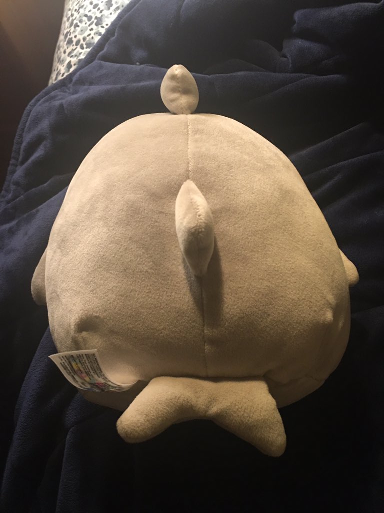 this is my shark squishmallow called oscar we are besties except i don’t really like how his belly button protrudes it makes me nervous. i love the fins and happy face though