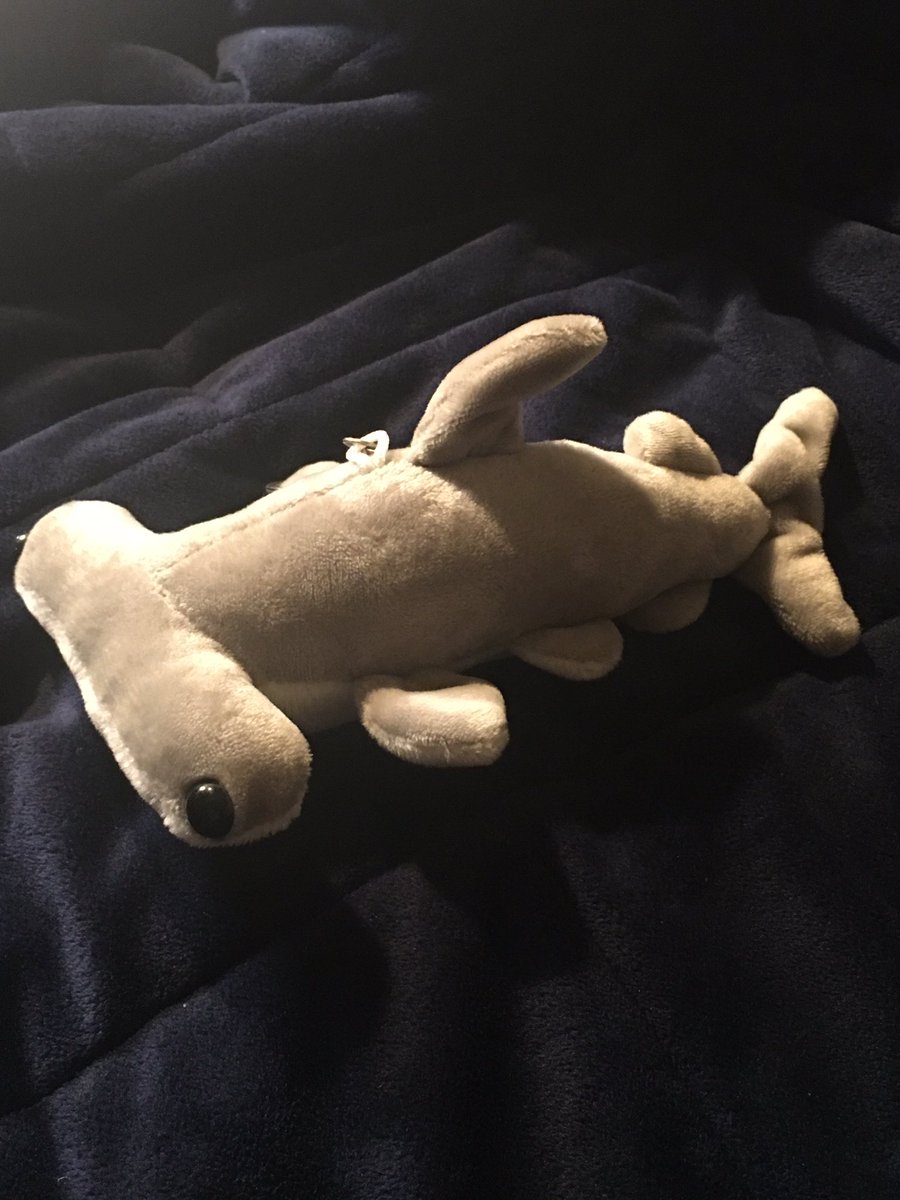 this is a little hammerhead keyring that socks got me for my birthday, which is fitting bc i associate them with hammerheads. i might put this on my bag when we go back to school but for now they watch over me while i dream