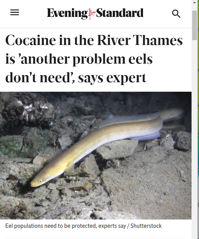 juliagalef's tweet image. I don&apos;t know what it is about eel scientists, but they do have a way with a pithy quote