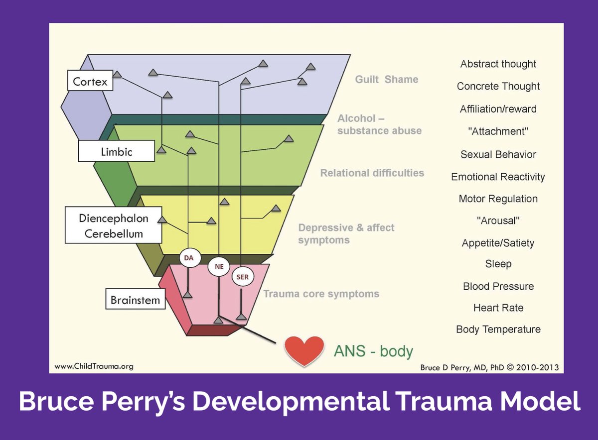 NMT integrates a comprehensive "bottom-up" community-based theory. The process helps match the nature/timing of specific therapeutic techniques to the stage of developmental when trauma occured.CBT, an often-used treatment, uses a top-down, logic-based method #TraumaEd101 14/
