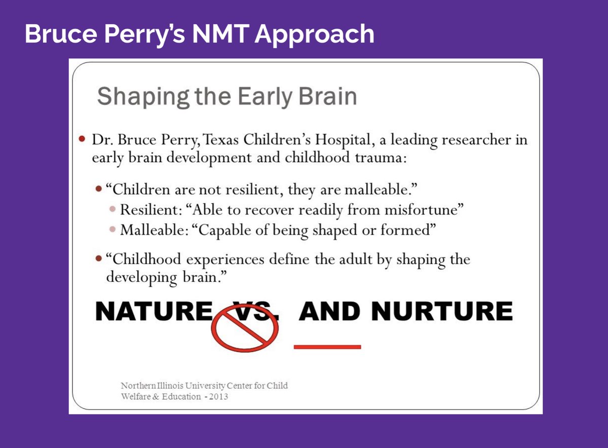 How do we "fix" developmental trauma?One idea is the Neurosequential Model of Therapeutics™ (NMT), created by Dr. Bruce Perry- a developmentally sensitive, neurobiologically informed approach.  https://www.childtrauma.org/  #TraumaEd101 13/