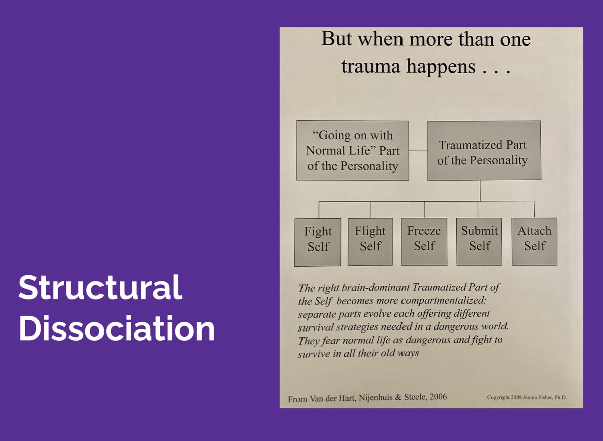 When we experience more than one major trauma, the traumatized part of our memory needs to get a little creative & dissociates even further from our daily conscious thoughts. It's important to remember that this is done automatically in our brains for survival #TraumaEd101 19/