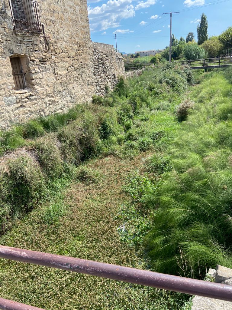 berta_sb's tweet photo. @aigua_cat Aspecte actual del riu Gaià a Santa Coloma de Queralt. El seu abandonament genera una imatge de deixadesa preocupant; a més de provocar el deteriorament constant del mur de la finca i de l'edifici adjunt al riu.  Agrairiem que es procedís a la neteja corresponent. https://t.co/fhVE4W8CZU