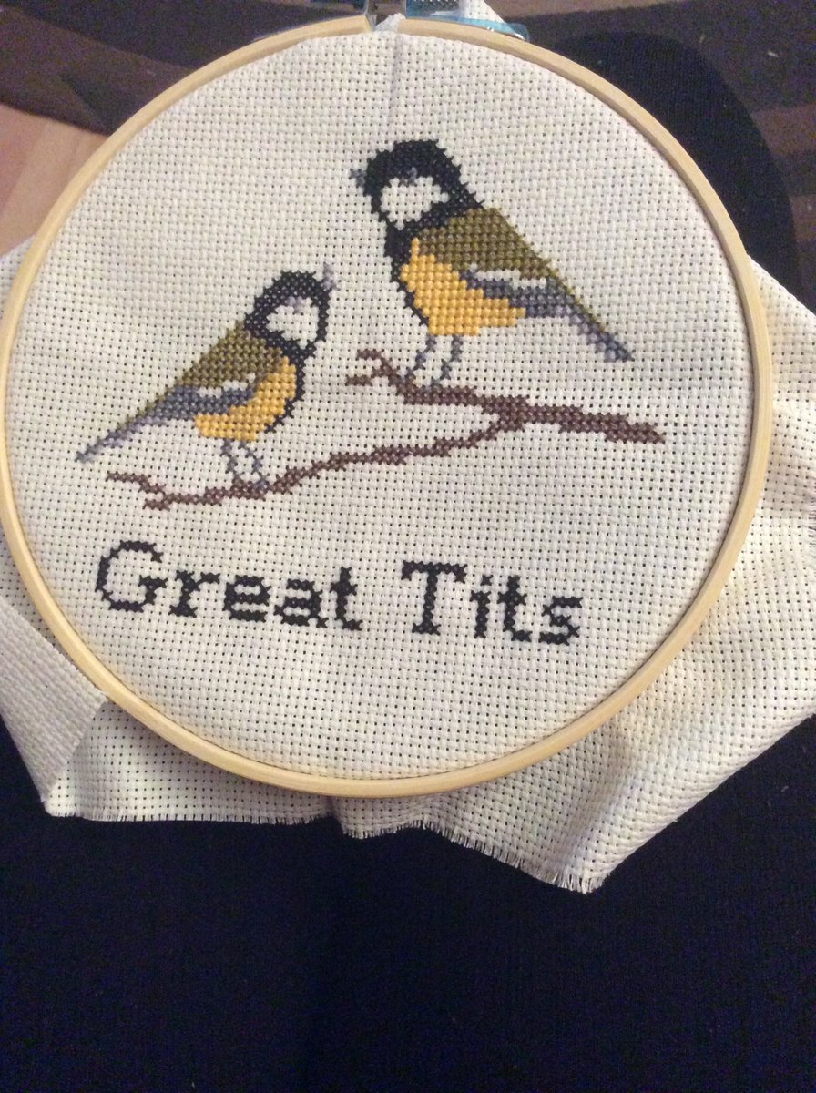 ally_disposed's tweet photo. @MrDavidMrIan #MrCreative I started crossstitch last year 😀 https://t.co/OpRSWa5j4v