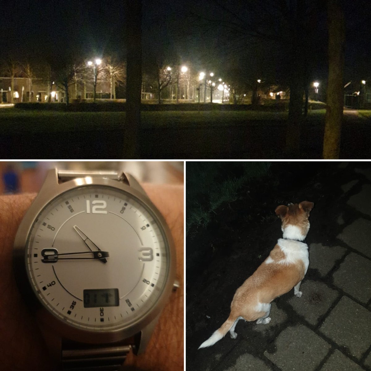 f_hoekstra tweet media