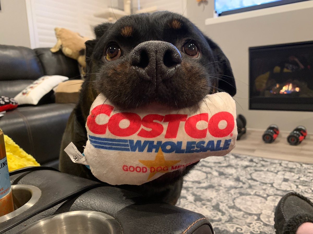 Costco has some awesome proprietary dog toys.  My dog is happy to be a member now.