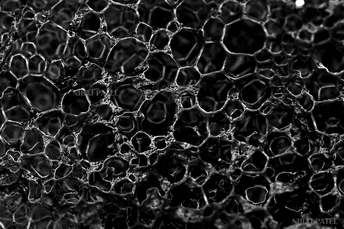 np_photographer's tweet image. Bubble macro bit.ly/3flVwys Kmno4+h2o2 #homescienceexperiments #scienceexperimentsforkids #kmno4 #h2o2 #bubbles #bubblemacro #macrophotography #creativeideasathome #creativephotography #macrophotographyideas #blackandwhitemacro