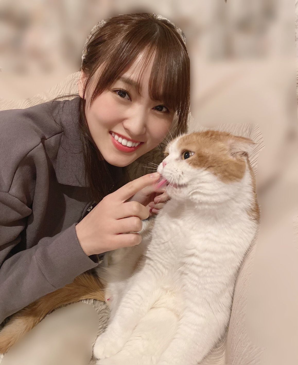 菅井友香 Yukkars カプセルトイ 6種セット - メルカリ