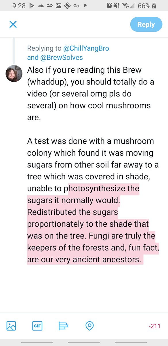 ChillYangBro's tweet photo. @BrewSolves Sorry I just love mushrooms, they're just awesome. https://t.co/Dwypcr9Hr3
