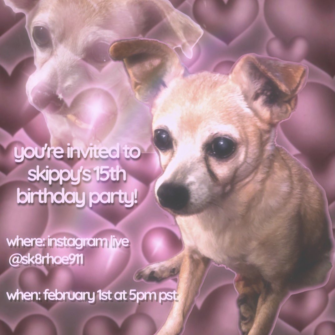 skippyluvr's tweet photo. y'all are all invited once again https://t.co/ksWO7by11K https://t.co/ppML4aPVBy