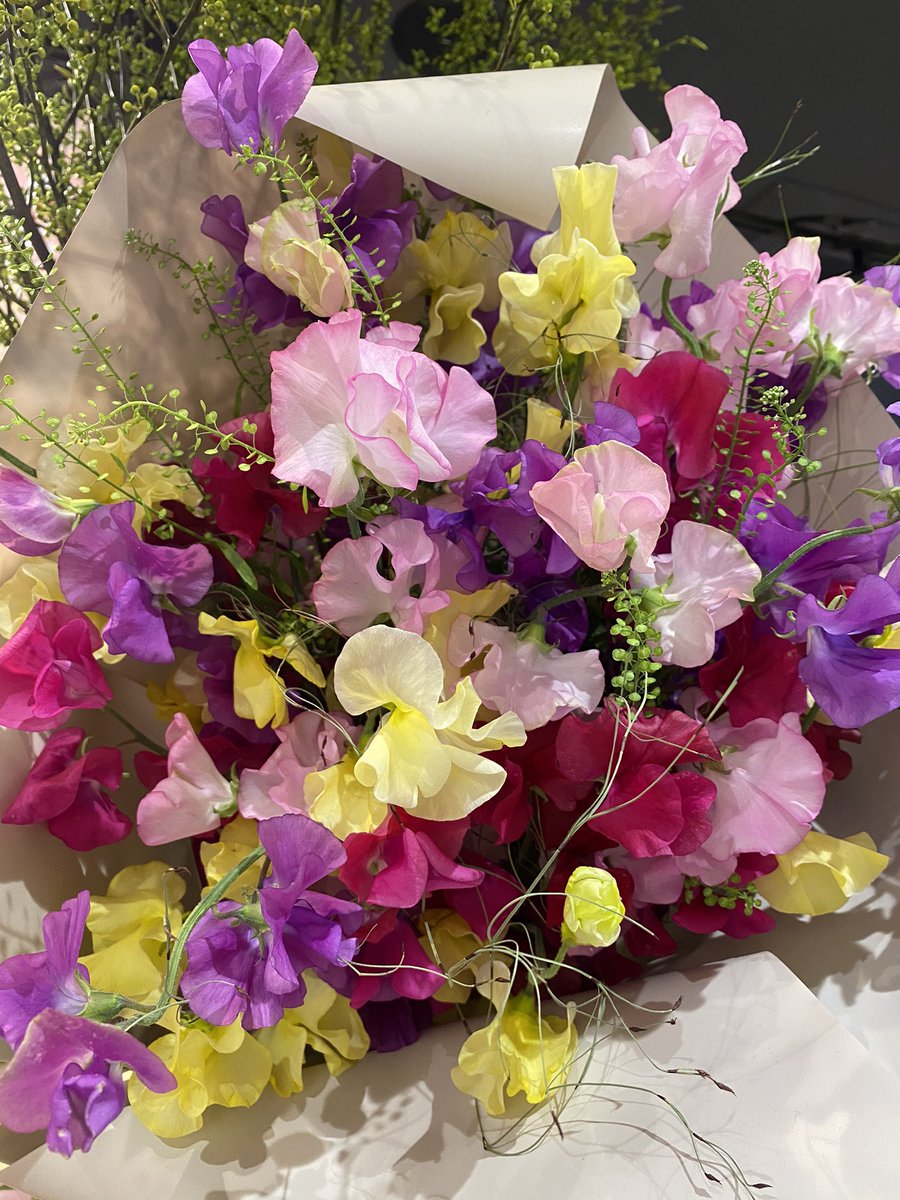 花時間 Hana Jikan Twitter 花時間 Hana Jikan Twitter