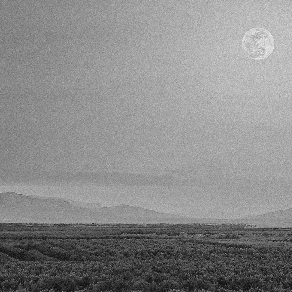 We may lose ourselves in brilliance,
an attraction that smolders, 
just waiting to be lit.
No secrets, no dark and quiet corners.
The moon demands clarity.
...Come into the light.

-Lois Parker Edstrom
Listen #UnderTheLightOfTheMoon 1/29/2021🌕