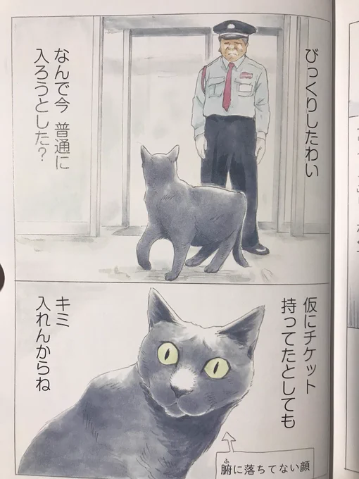 『警備員さんと猫』より
僕自身、心が弱った時に読み返して気持ちを整えてます。 