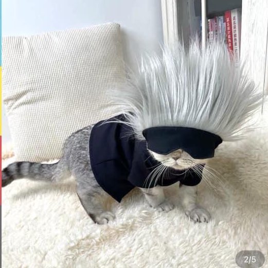 NEW VIDEO OUT ✈️ (all my january plays pog:O)

youtu.be/VR8bzNxTHPg
youtu.be/VR8bzNxTHPg
youtu.be/VR8bzNxTHPg