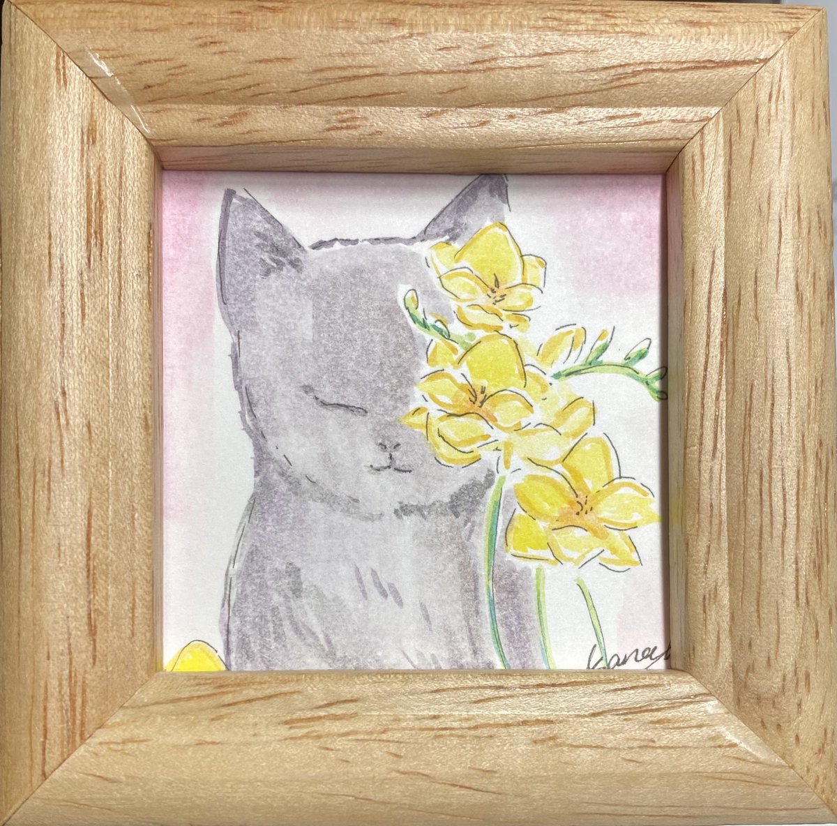 春凪勇魚 1月24日 フリージア 花言葉 あどけなさ 純潔 親愛の情 1日1絵 ミニ額 誕生花