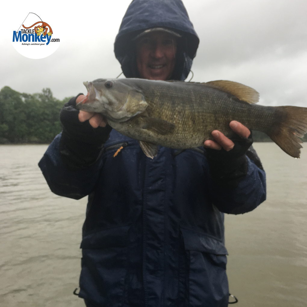 Tackle Monkey Bass Fishing tweet media