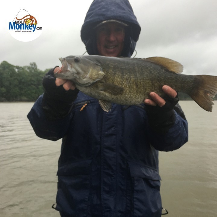 Tackle Monkey Bass Fishing tweet media