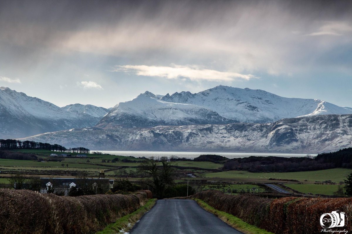 sdphotographybute tweet media