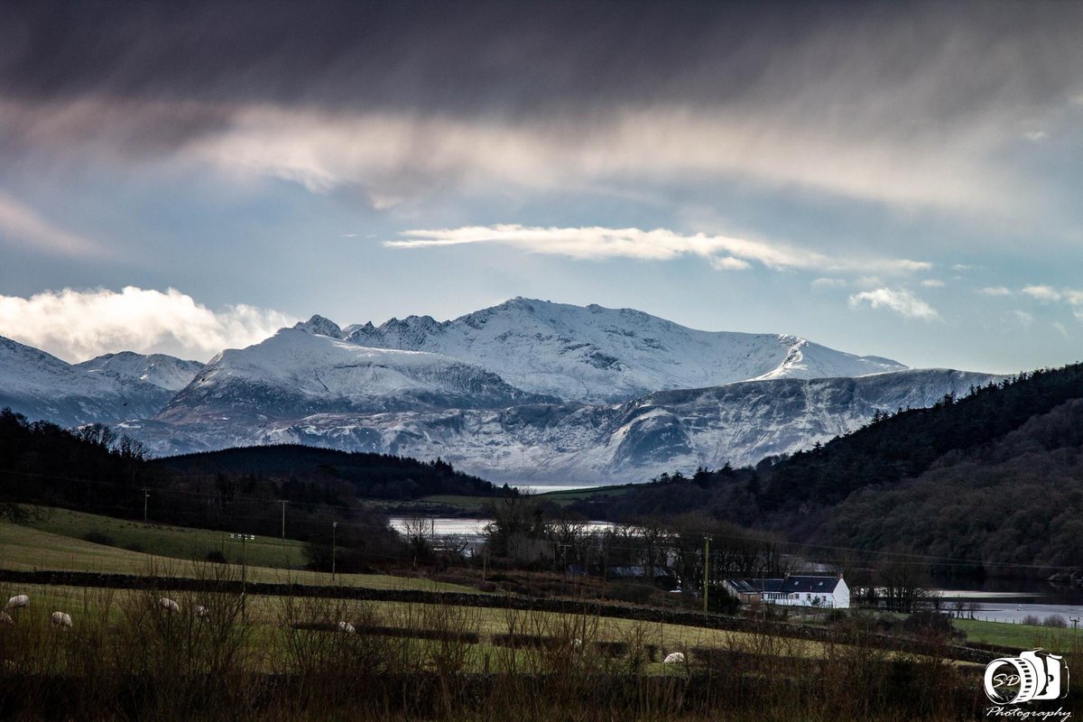 sdphotographybute tweet media