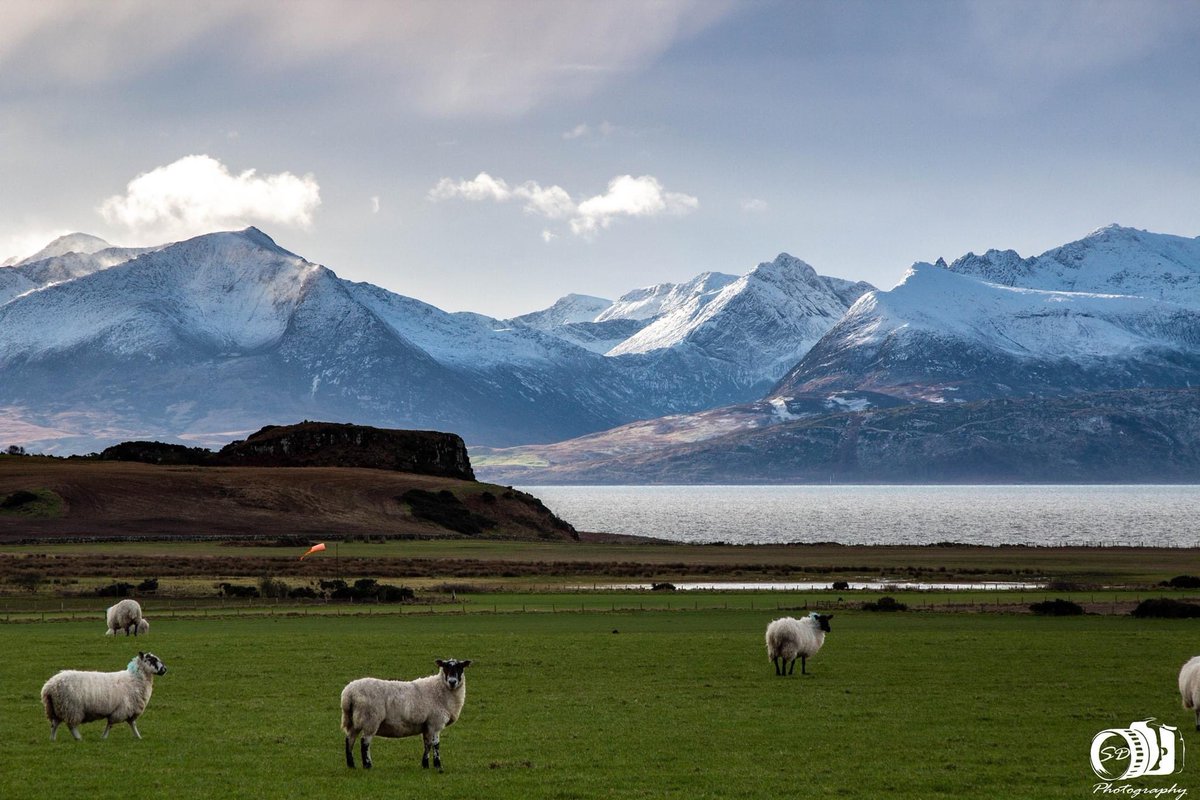 sdphotographybute tweet media