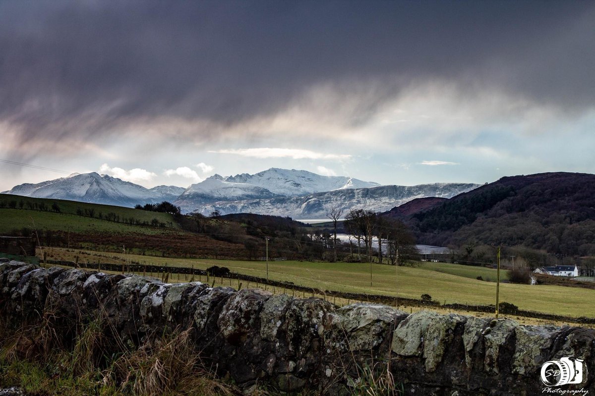 sdphotographybute tweet media