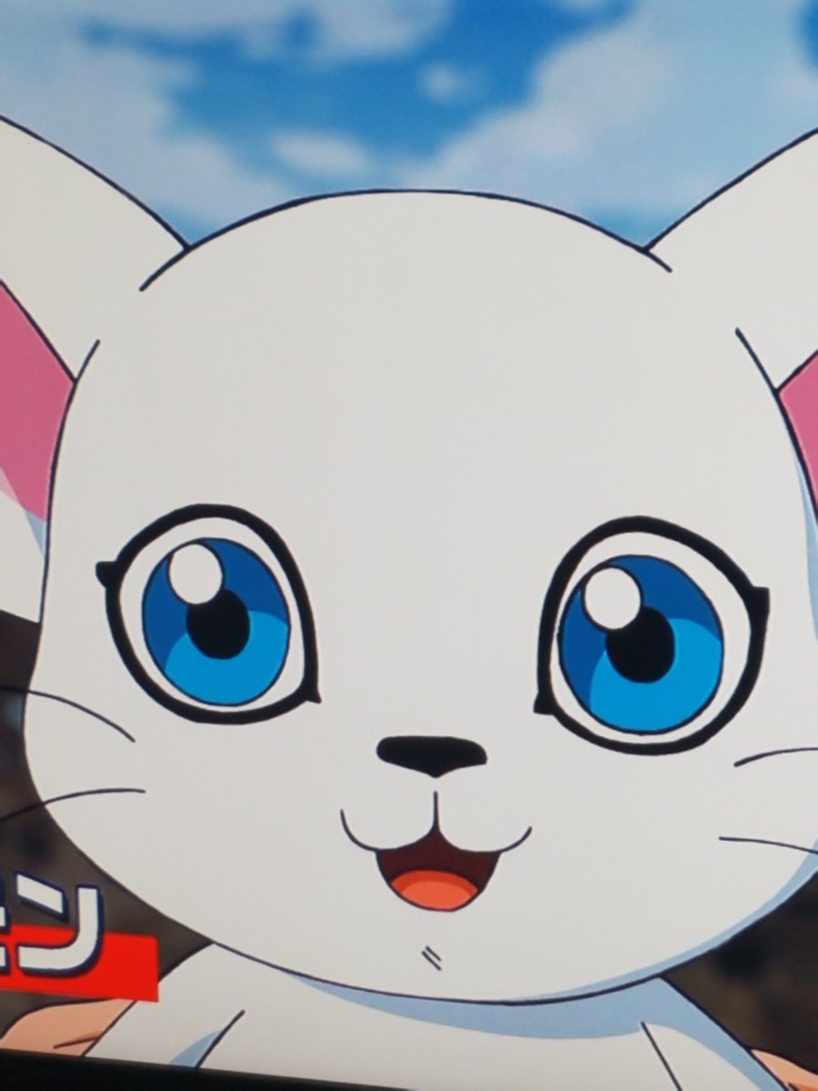 かわいいいいいいいいい やっとテイルモン登場した つd こんな可愛いのにエンジェウーモンってセンシティブなデジモンに進化するギャップも好き デジモン かわいいいいいいいいい やっとテイルモン登場した つd こんな可愛いのにエンジェウーモンってセンシティブなデジモンに進化するギャップも好き デジモン