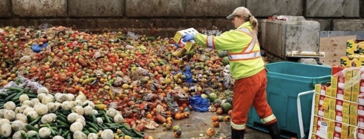 diva4equality's tweet image. DIVA @ 10 Years:
Neoliberal #Maldevelopment : “700 million people are hungry daily. MORE food production.”

Us:“No. Hunger is from poverty/maldevelopment, not because food isn’t grown. Over 33% of food wasted in developed countries!”

Stop #GreatPatriachalLies #EverydayPatriarchy