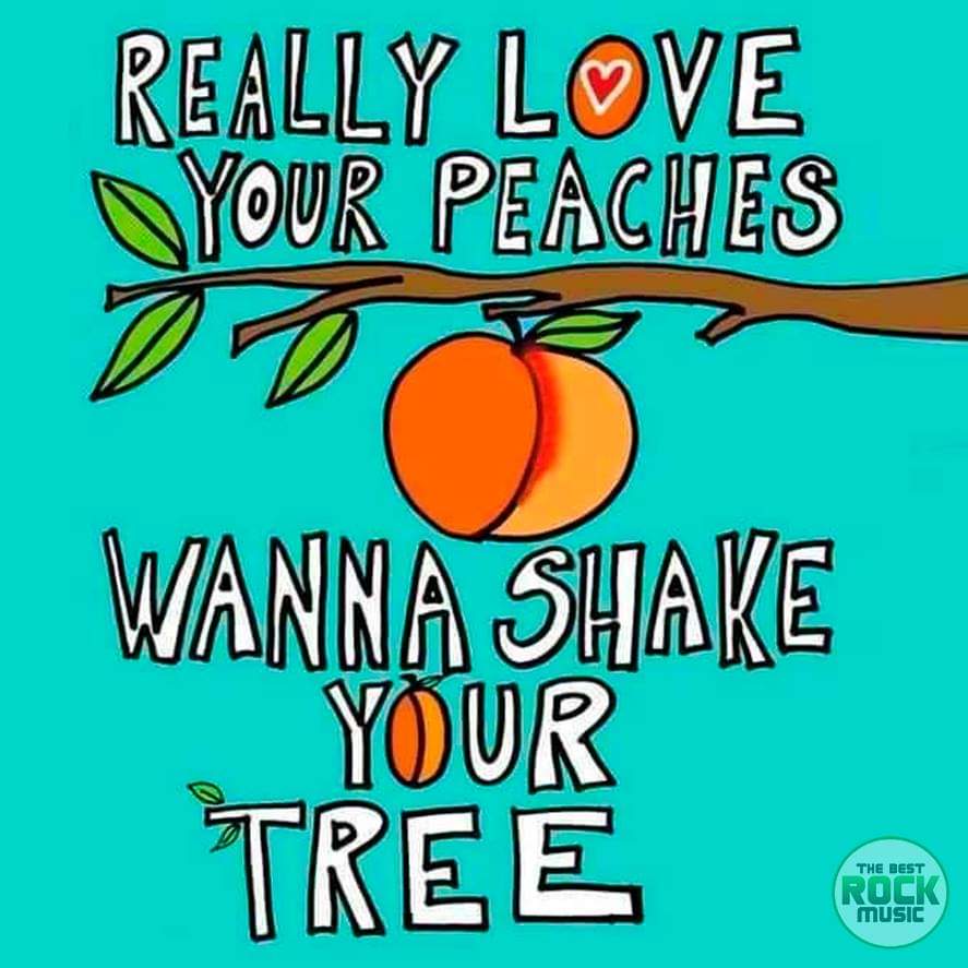 TheBestRockVevo's tweet photo. #TBRM #memerock #rockmemes #rockmemesespañol #memesrock #memesrockeros https://t.co/OeSAv8C4yp