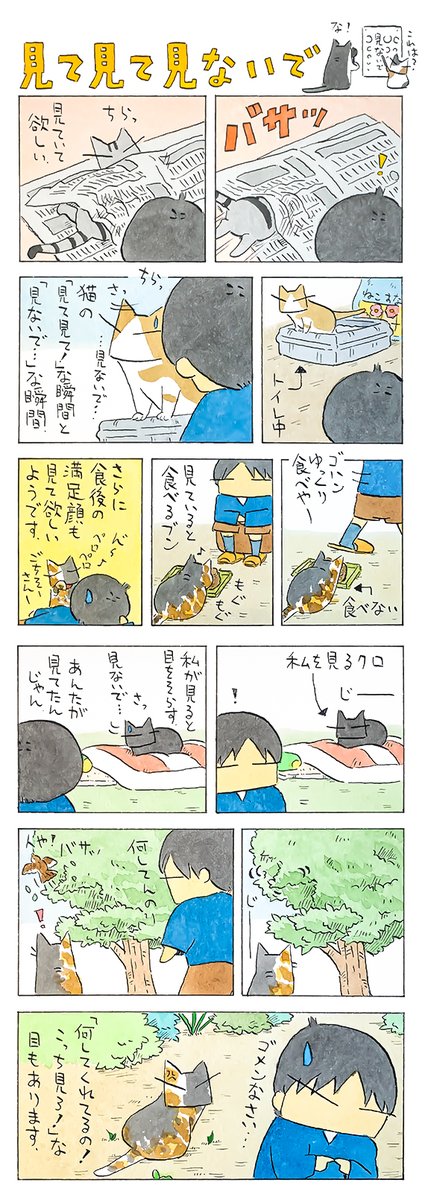 「目と目」
目を見て見られて見つめ合って。
時には逸らして、照れ隠し。
(久保智昭さんの「猫色スケッチブック」)他一枚更新しています。⇒https://t.co/10zjL7w0B9 