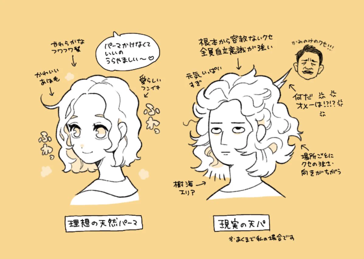 ふわふわで可愛い天然パーマ！だけど現実は苦労も多い･･･？
