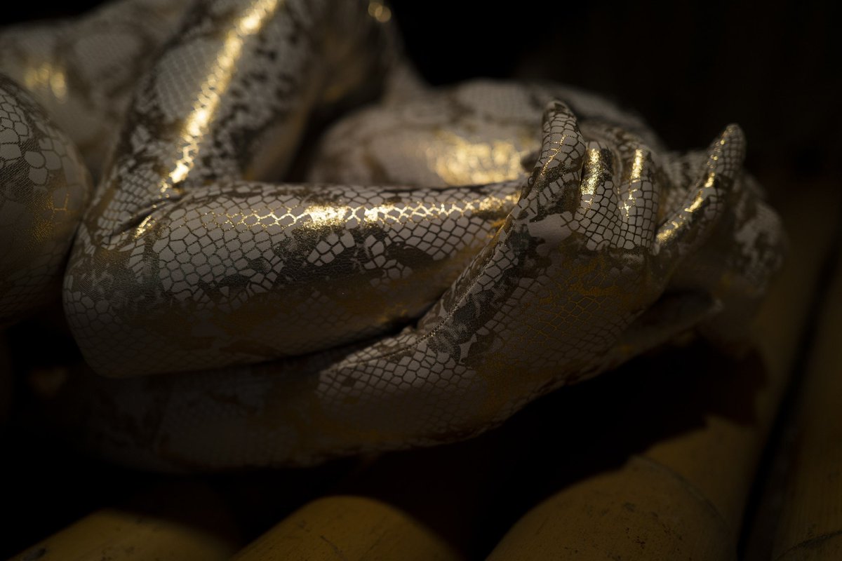 ReginaDoll_t's tweet photo. 黄金蟒🐍黄金·蟒（一）
#zentaidreamer #zentai #encasement #紧身衣 还有啥tag？ https://t.co/3R7UEOUVaa