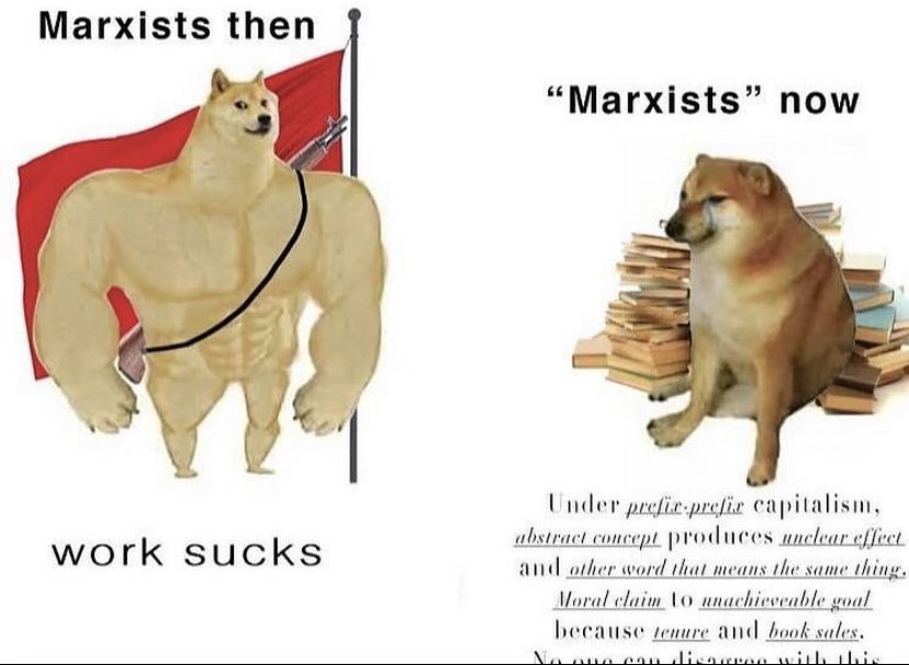 mindyisser's tweet photo. probably the best meme i’ve ever seen https://t.co/TSI3GaBkjP