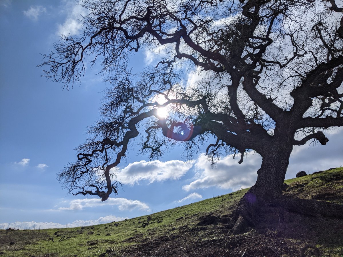 sot_scc's tweet photo. There's nothing quite like the beauty and accessibility of the parks and open space areas in Santa Clara County. Coyote Lake is a 45-minute drive from downtown San Jose but a world away. A truly stunning place to hike. We even hiked part of the @ridgetrail, big fun.

@SCCParks https://t.co/zwCawvG6rn