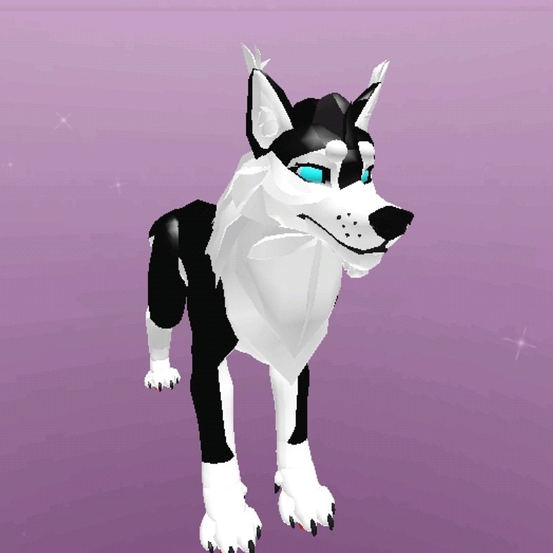 Shyfoox Hashtag On Twitter - roblox wolf or other