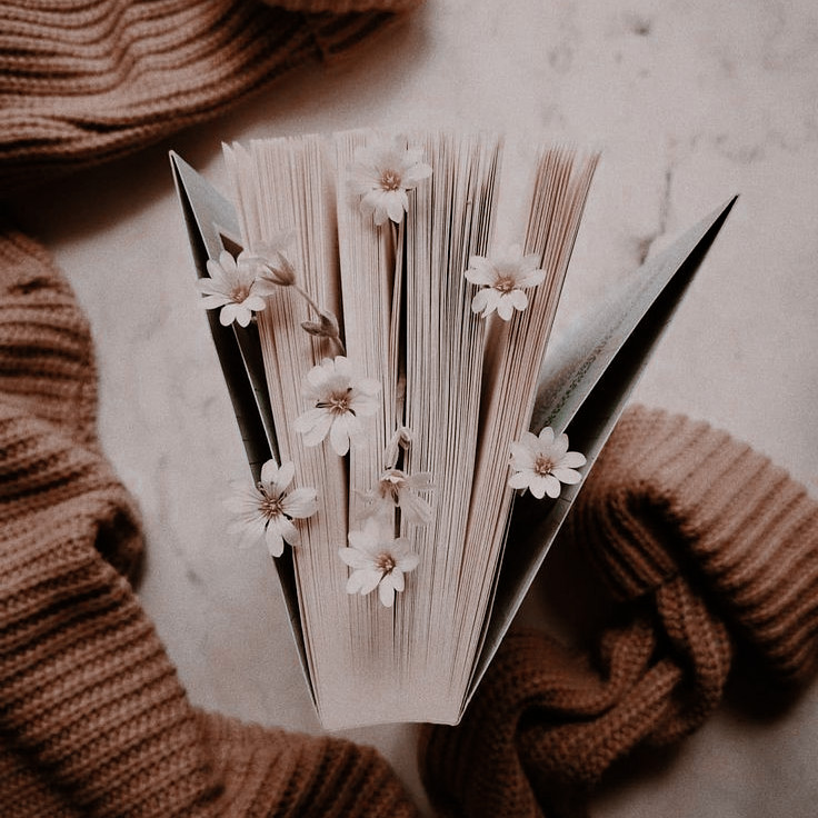 brycexhunt's tweet photo. ➸ Livros lidos em 2021 
     ↬ A thread; 

"Vivia em livros mais do que em qualquer outro lugar." 🪴 https://t.co/5he9LUHZYa