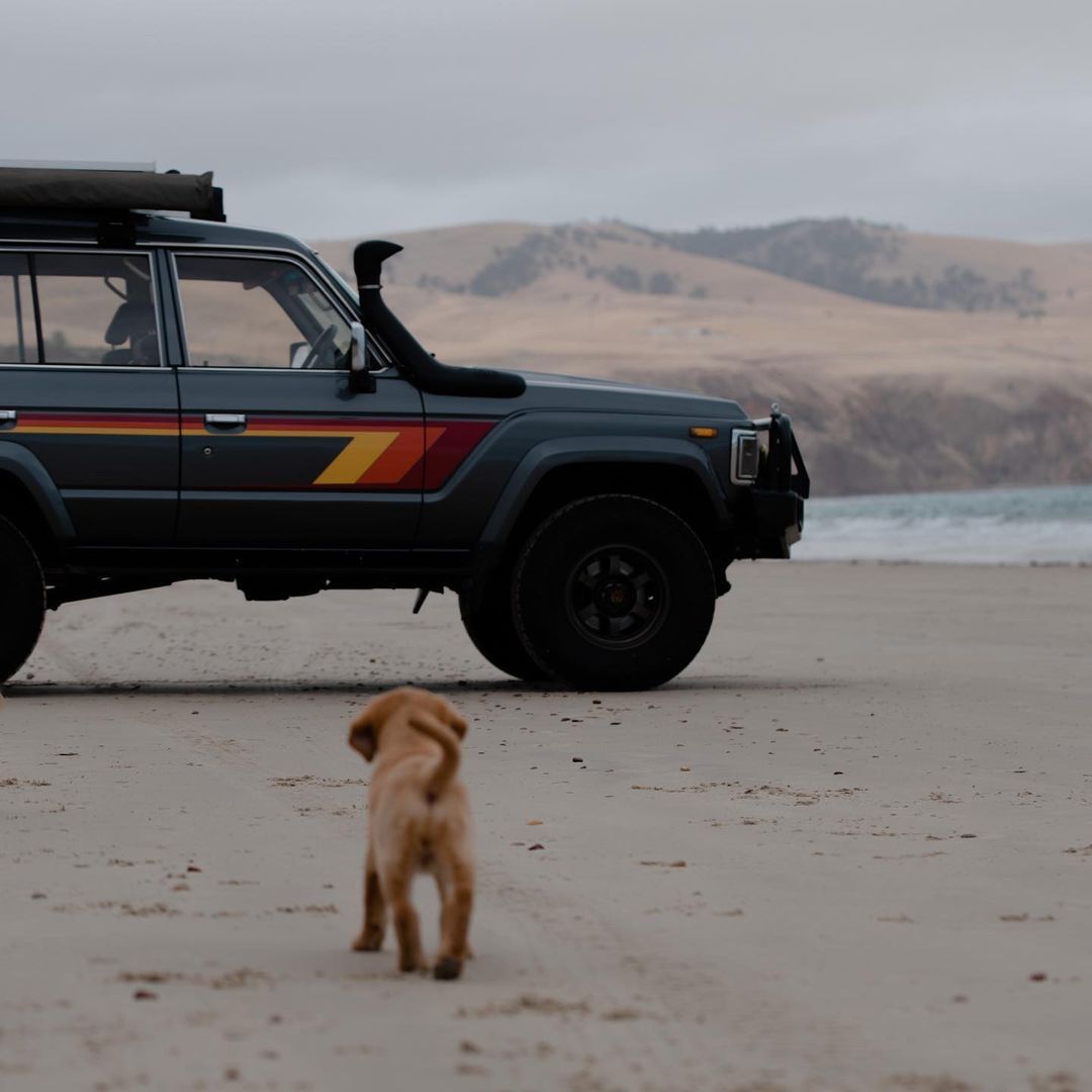 CruiserGear's tweet photo. Love seeing this rig. It's like the #ClassicCruiserGiveaway #CCG2 but on the other side of the globe! 
📸 @agnes__adventures

#landcruiser #adventure #travelaustralia #campingaustralia #travelcouple #landcruiser #adventuresa #southaustralia #cruisergear https://t.co/YaUEEzUifb