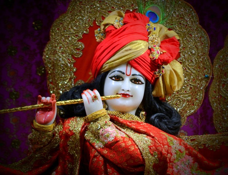 KRISHNA WILL NEVER LEAVE YOUR SIDE ❤️ 24 #january #Love #Blessings #Healing #sundayvibes #Krishna #HappyWeekend
