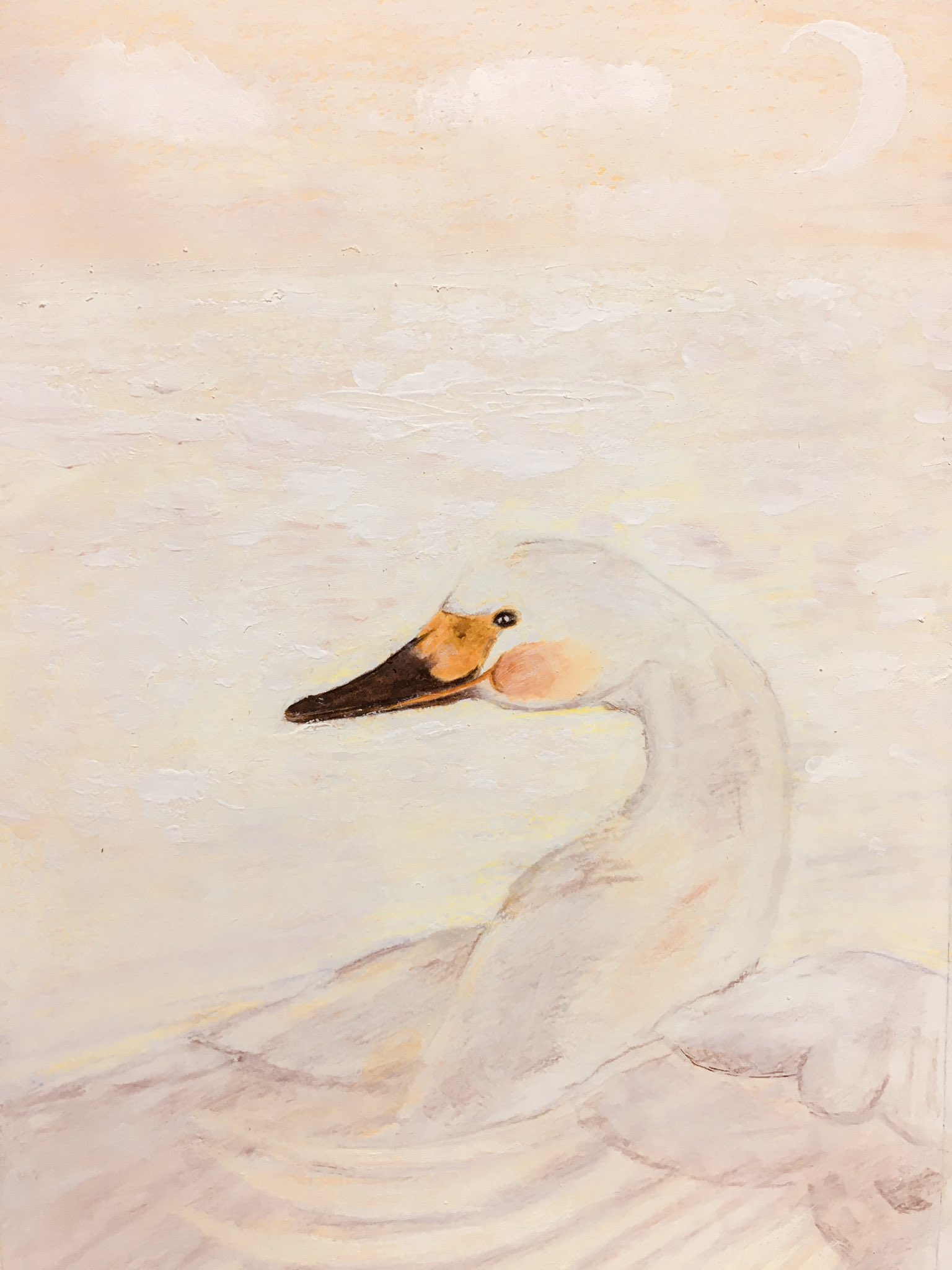 Lavenderkettle 優しい白鳥 Gentle Swan 白鳥 Swan 絵 Picture Lavenderkettle 優しい白鳥 Gentle Swan 白鳥 Swan 絵 Picture