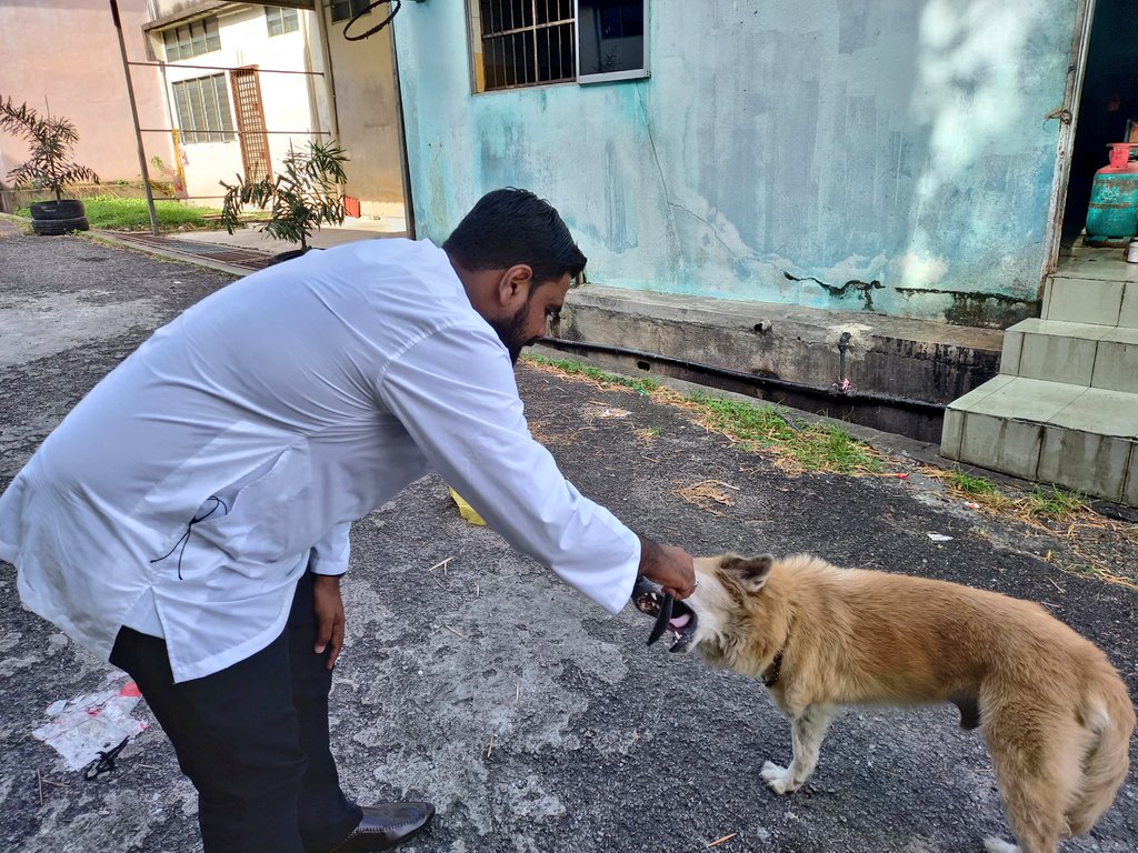 Mohamad Farid Yusoff tweet media