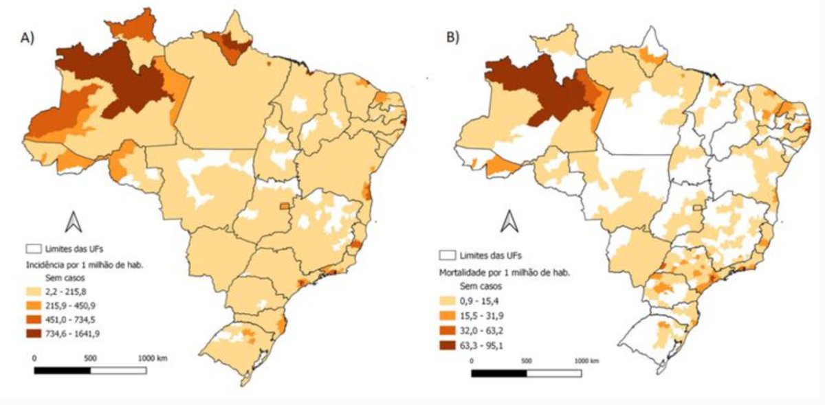 Here is the covid map from end of April 2020. Note that Manaus district had the highest incidence in Brazil