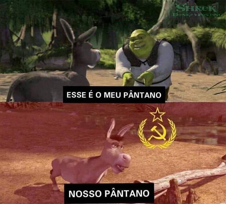 memes burro shrek