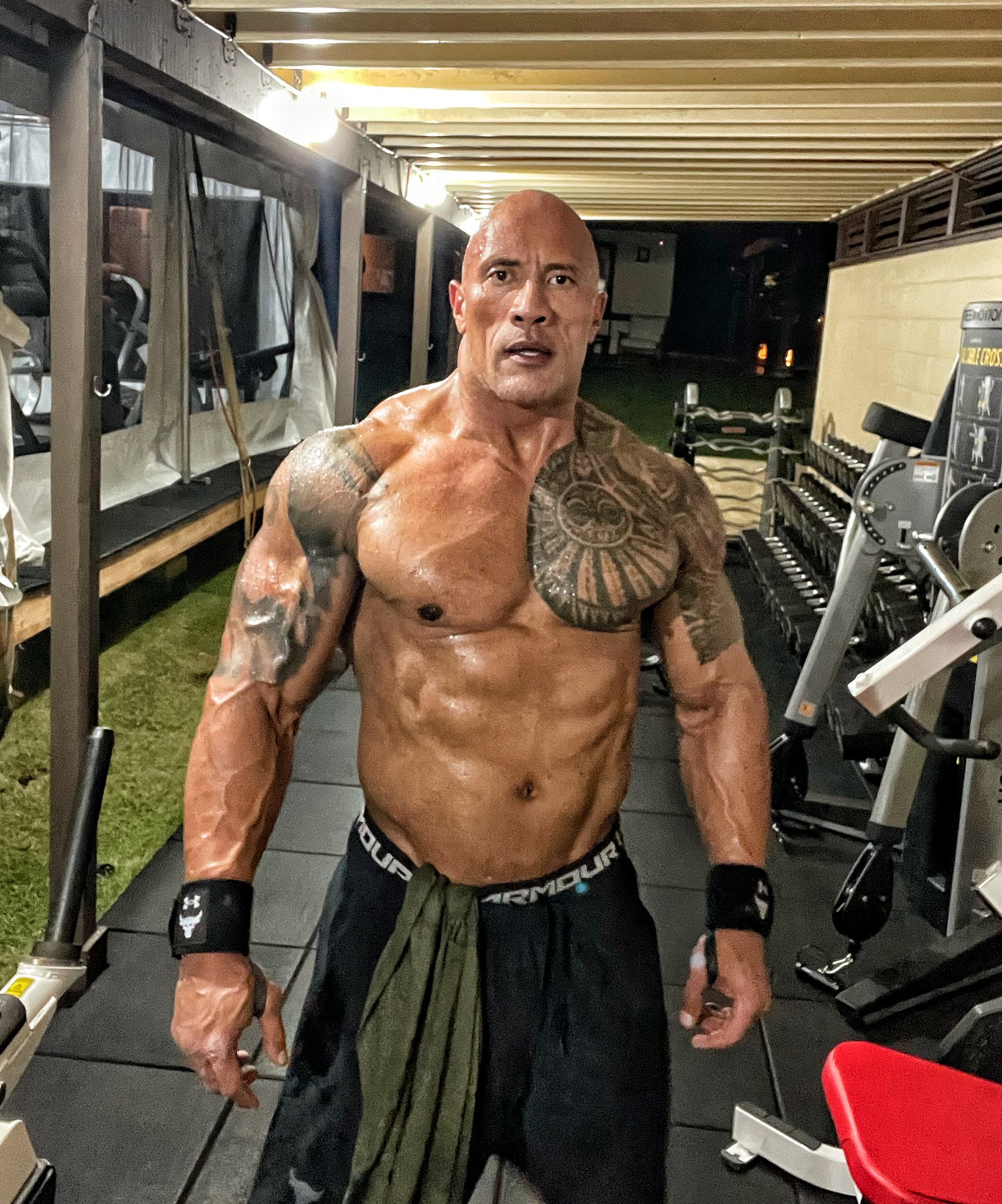 Dwayne The Rock Johnson Height Weight Body Statistics - Healthy Celeb