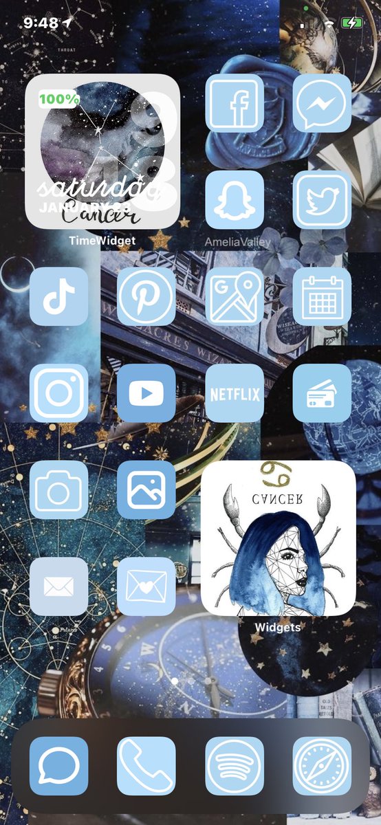 sit_uati0ns's tweet image. I dig it ✌🏼#iphonehomescreen #ios14homescreen #astrology #cancer
